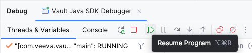 Resuming program execution in IntelliJ.