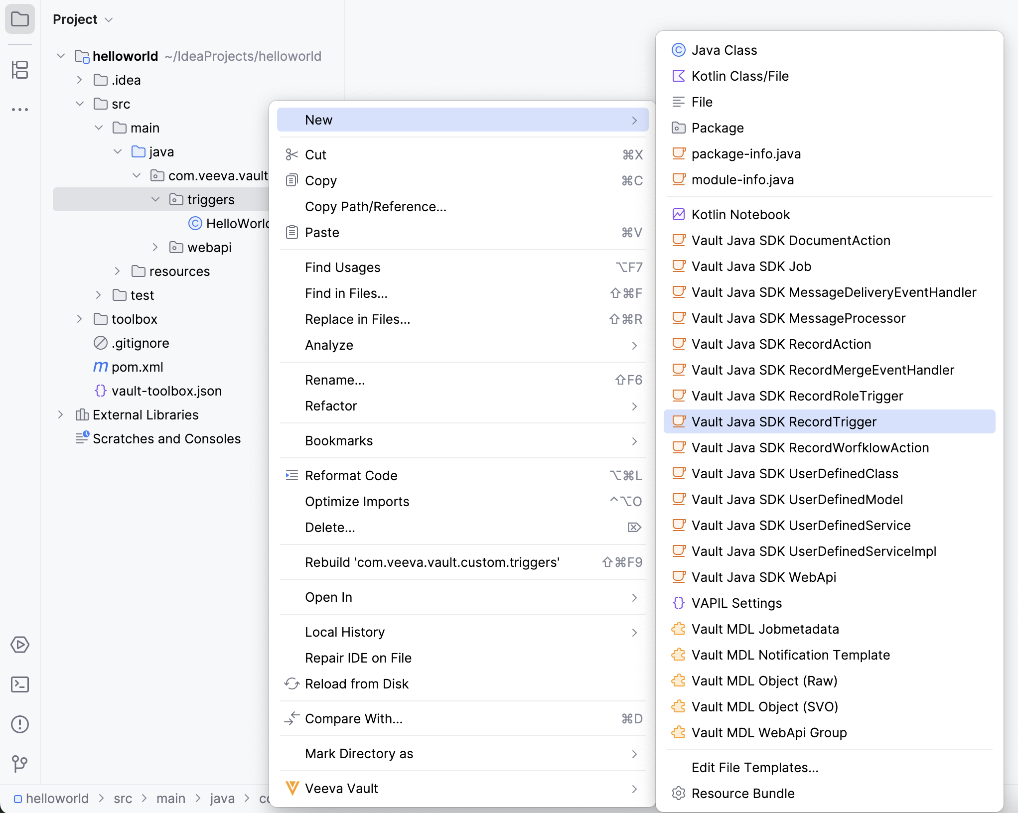 IntelliJ Plugin File Template